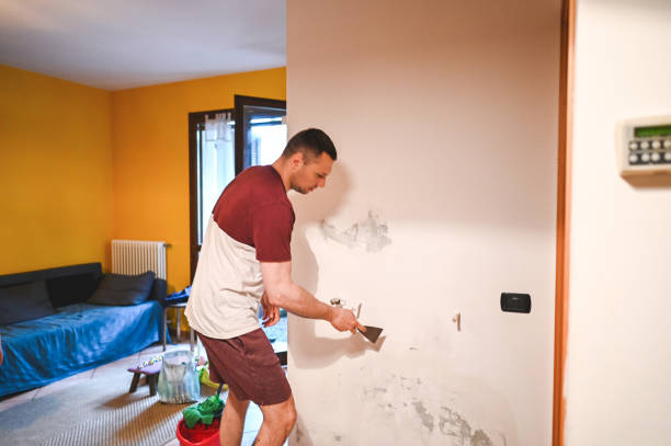 Office Mold Removal Services in Clayton, IN